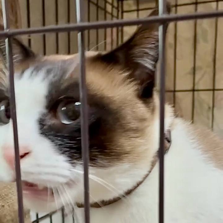 855c3e13 0ddc 4ce8 acbf c8a525cbc583 1748924729852