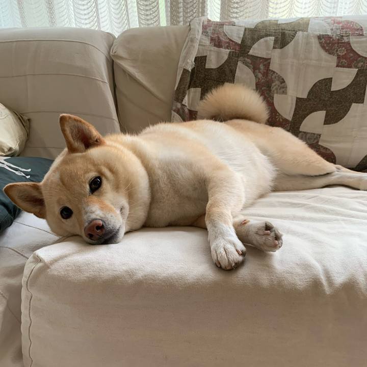 855c520f 26de 4111 bbe5 666dfd3bf364 1627430024737