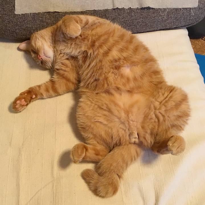 855c54a4 753b 4b30 8c05 1e1eaaa781df 1531351824947