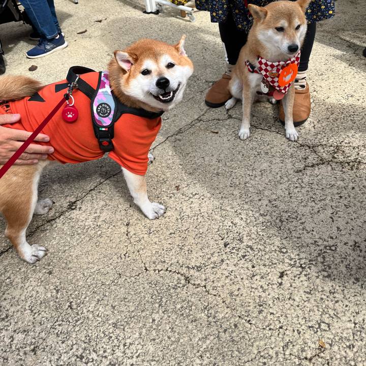 855c643e 491d 4870 a7f0 f368eb1055a6 1665268673362