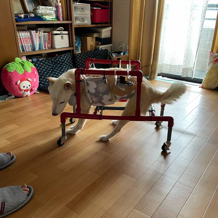 855c77db c98e 43cf 8bbc bc246436c8f1 1661920529822