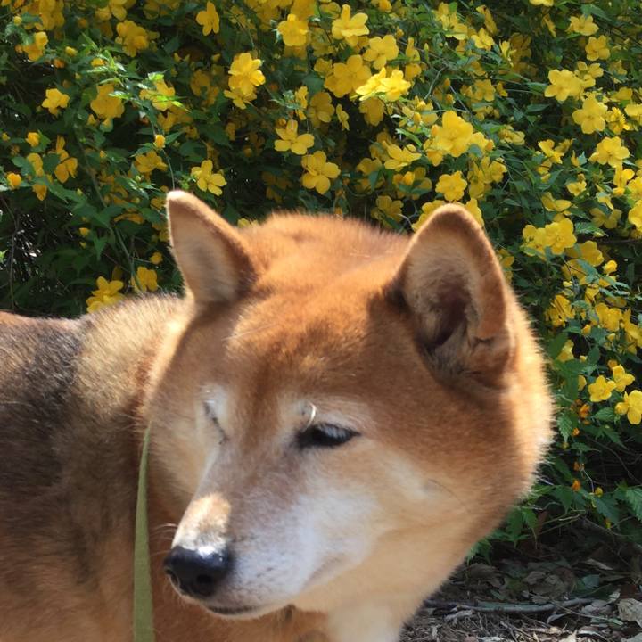 855c8f57 bf36 47ae bf83 4dbf31c22b12 1585894888615