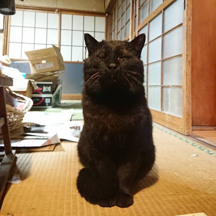 855c9d4d 9e08 4ca0 a2a8 a292ffe06e35 1617099809511