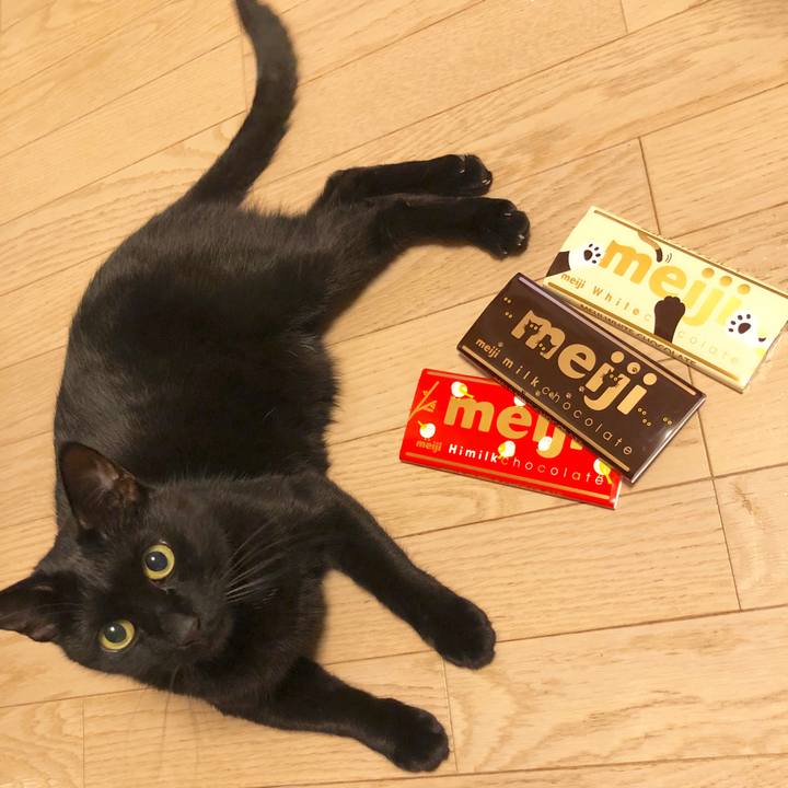 855cbe97 a406 4626 af10 4c479faf9664 1582200338488