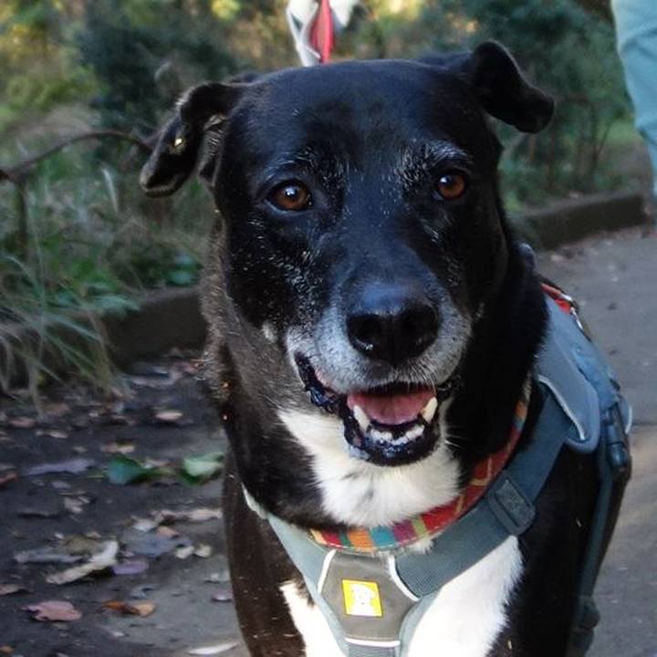 855cc0e8 495c 4c6a 8a8d b889e9d63acf 1732495553353