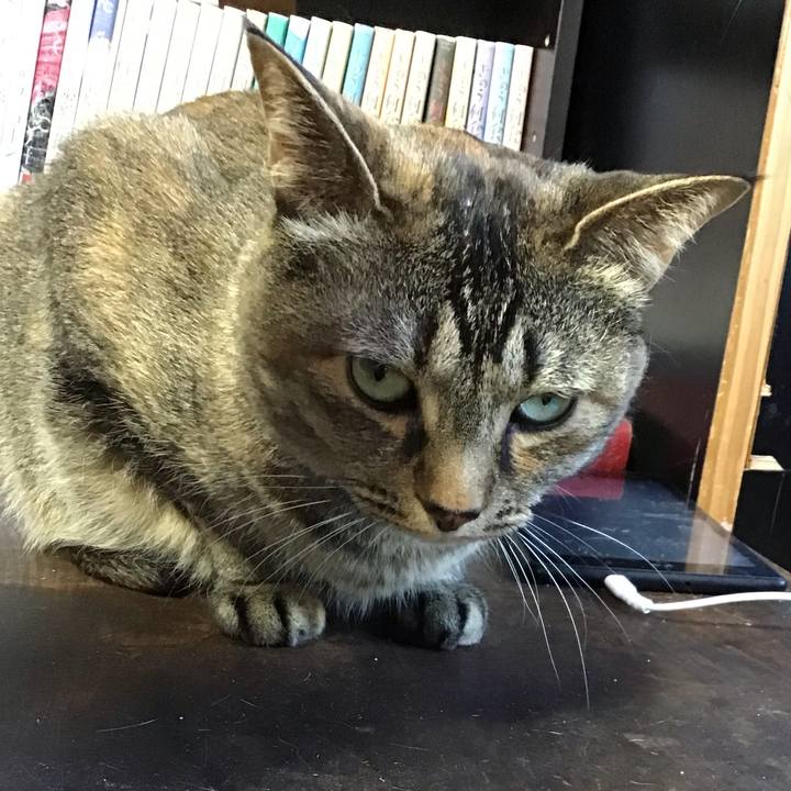 855cc363 a1f7 4d36 bddf 132ef1bb3273 1716976851492