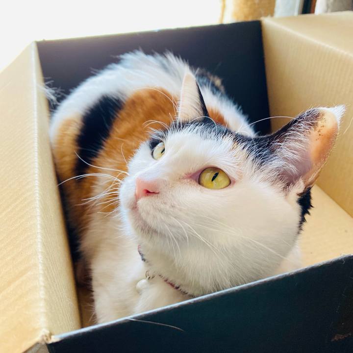 855cd0f5 2c52 4b3f 836a 21492ca0bfbd 1681046140803