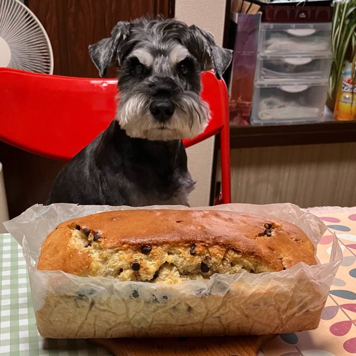 855cd2ff 9ac9 40ed bd77 471808b7aabe 1729320986572