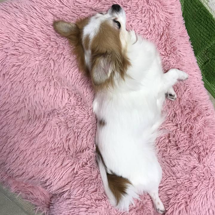 855d1af2 740c 4bf9 8d2c ef1a96085441 1568467503230