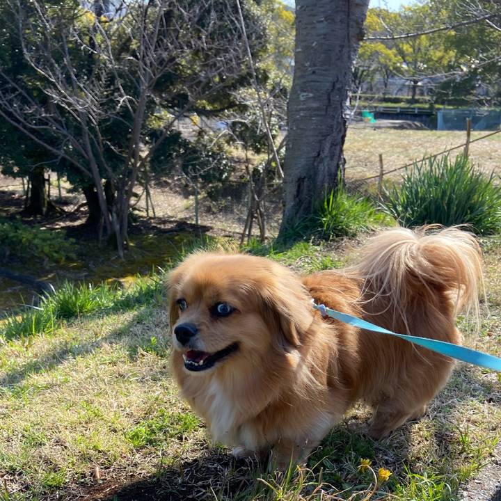 855d2ed7 3e14 422f a5b0 454e2462bf60 1615684295841