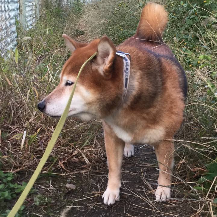 855d628b 273d 414b a07e 5f69ee22b8ab 1603791542668