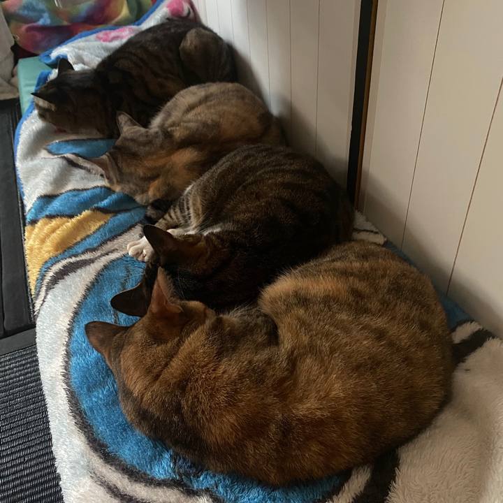 855d7910 1fb0 4486 ad59 0a1fb7ac51a6 1587241165808