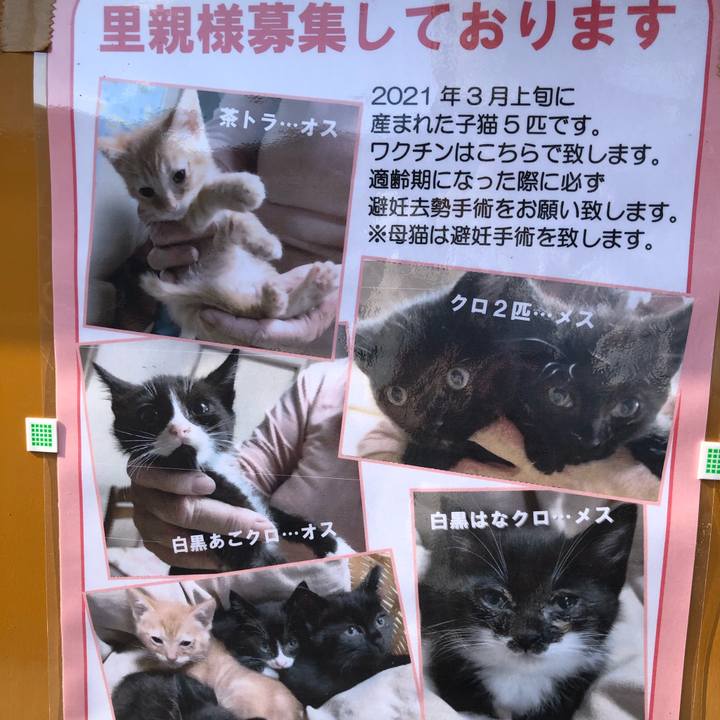 855debb9 3281 448c a6e6 602fc0ac6925 1623308445456