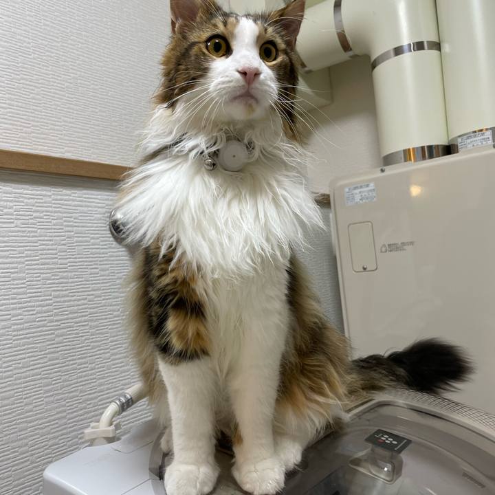 855e021b a7e5 476e 93fd b7307cd1bc23 1646168042237