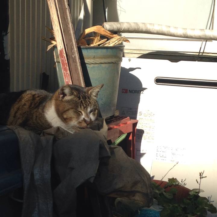 855e3209 4254 4877 9b80 52e42e4e9f8e 1513798002026