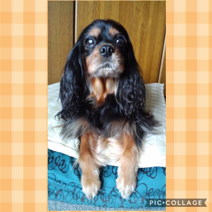 855e9f8c 8a52 4545 8fcf 89babe94d7bf 1541652286741