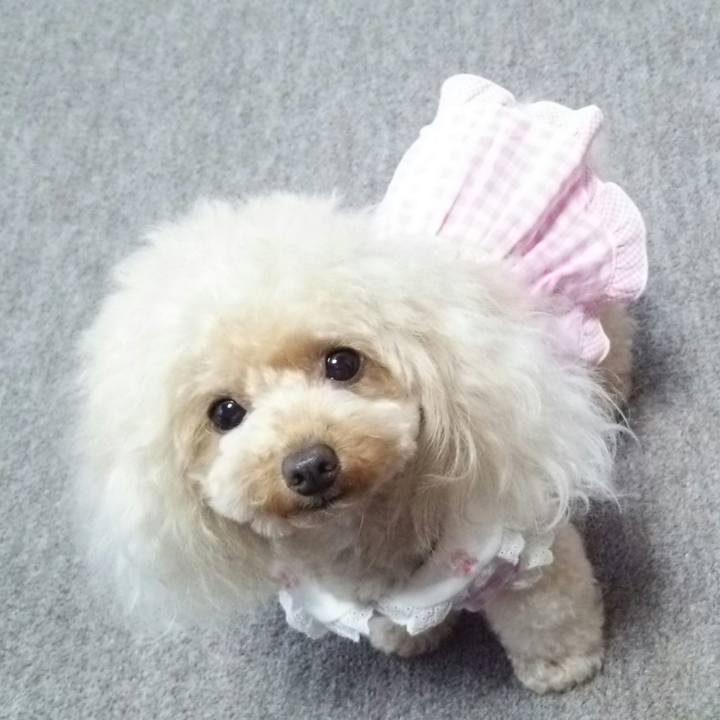 855ea462 046d 4e3e 8e33 2ec80ce0d882 1536627116879