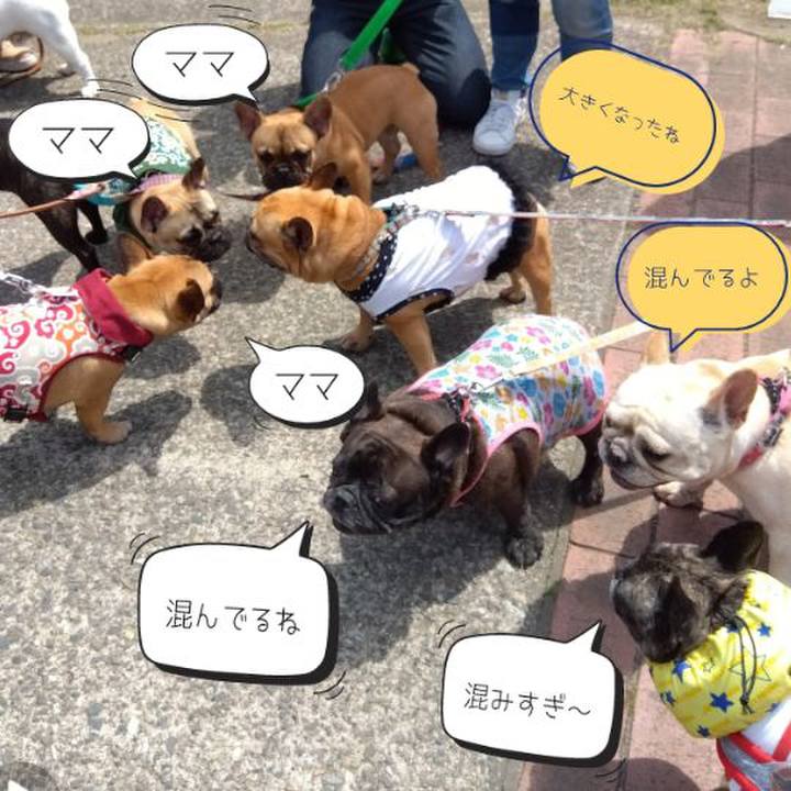 855ee22f 96ae 4220 ba4d 61226a457599 1713760842857