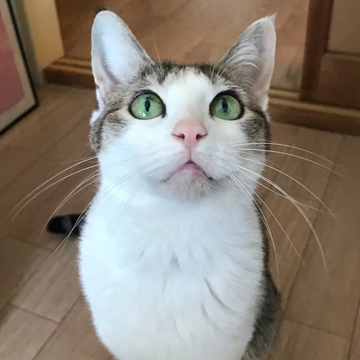 855eeea1 f1f1 4abf a647 de6836cb1ca1 1643595190040