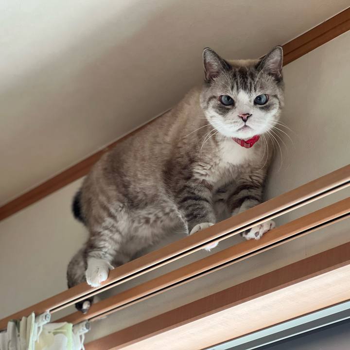 855f2148 ef86 4f29 91d0 6f6a9fc9fe21 1704622554532