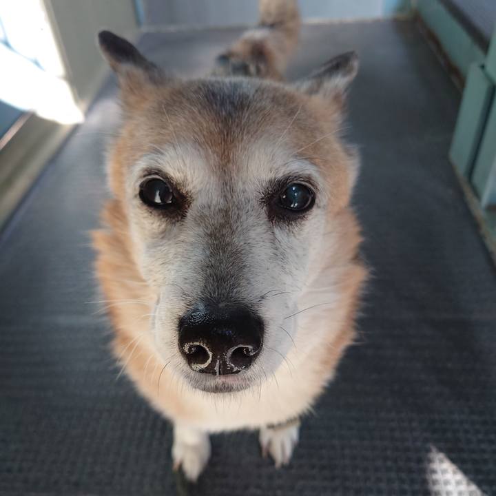 855f2545 5064 470f 8e8a 1de751896d92 1710481459076