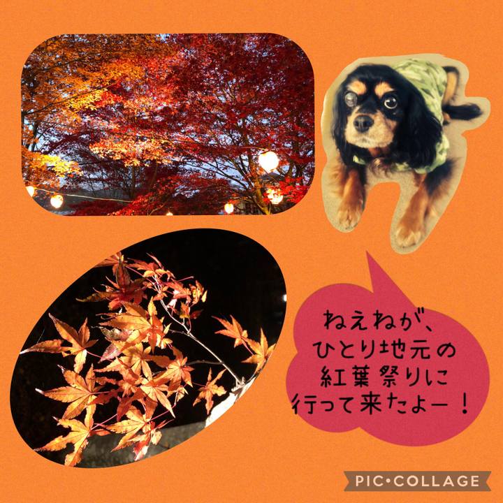 855f5bea 367c 4dc3 81be 6457e9a2e267 1636293793403