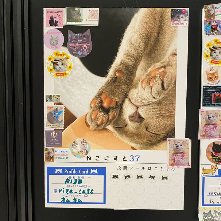 855f7af4 e4b8 4c1c addc 15e6f8333142 1628918522333