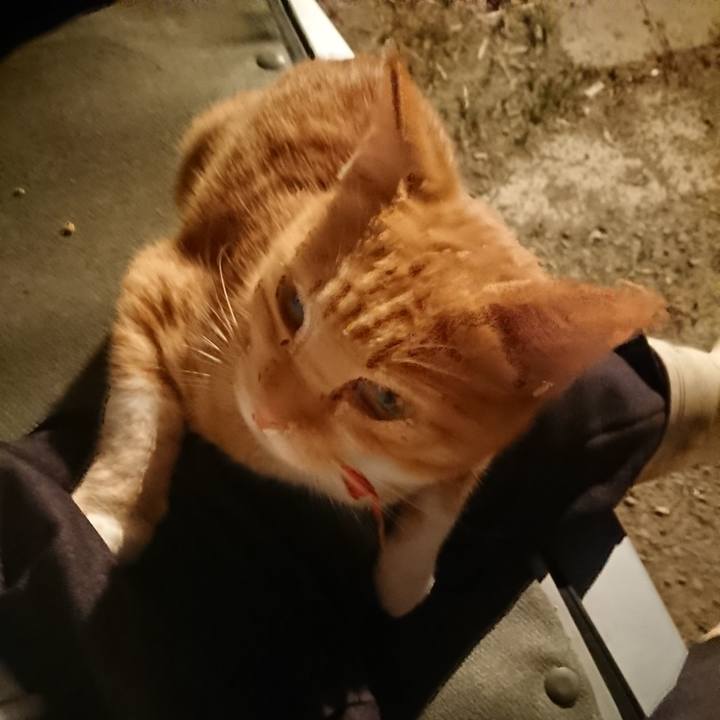 855fb57f 7c65 4533 b6a2 ef464be225d3 1570009150576