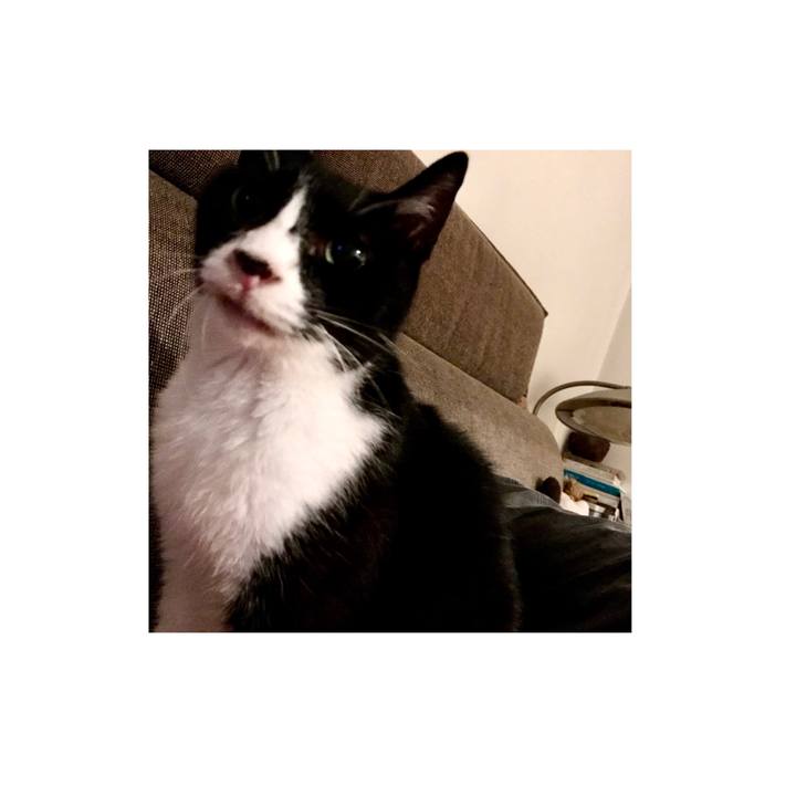 856052f2 ebbf 46f9 a5c2 bf639eaa3bd8 1623175459874