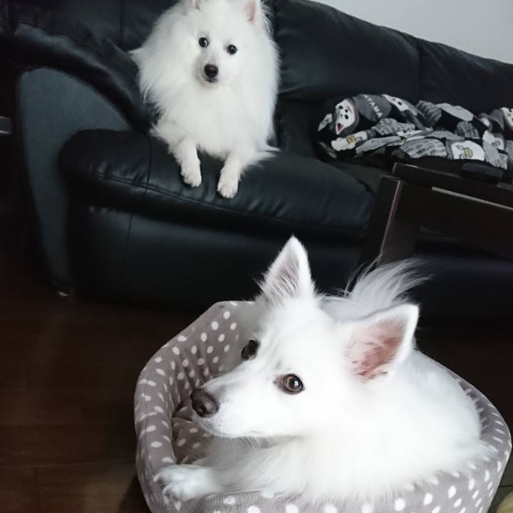 85606d21 12f0 4b1a 8df1 6161894cae7c 1570601598761