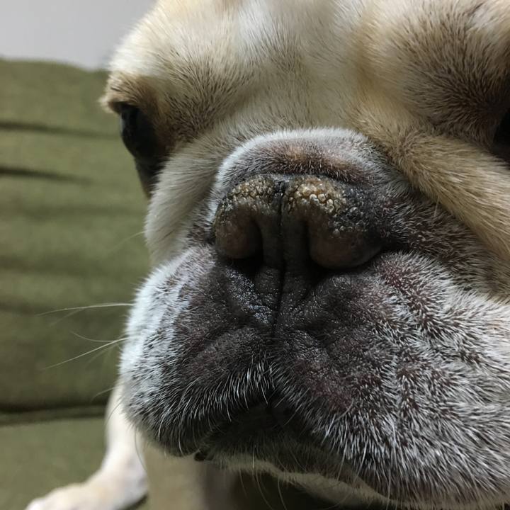 85607e29 9062 44a4 a389 c385c1eb0e02 1512827398863