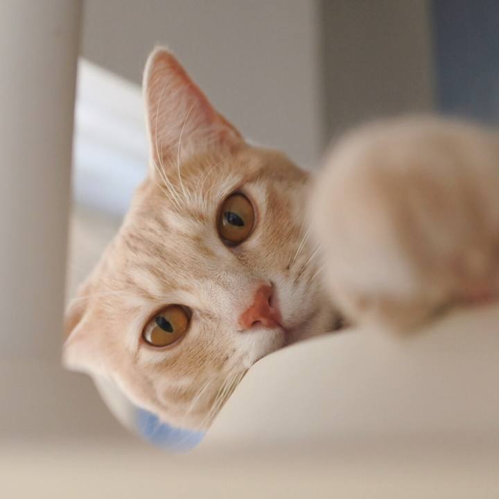 8560859a 1976 4f97 97f5 d79c8a05b02c 1564666168185