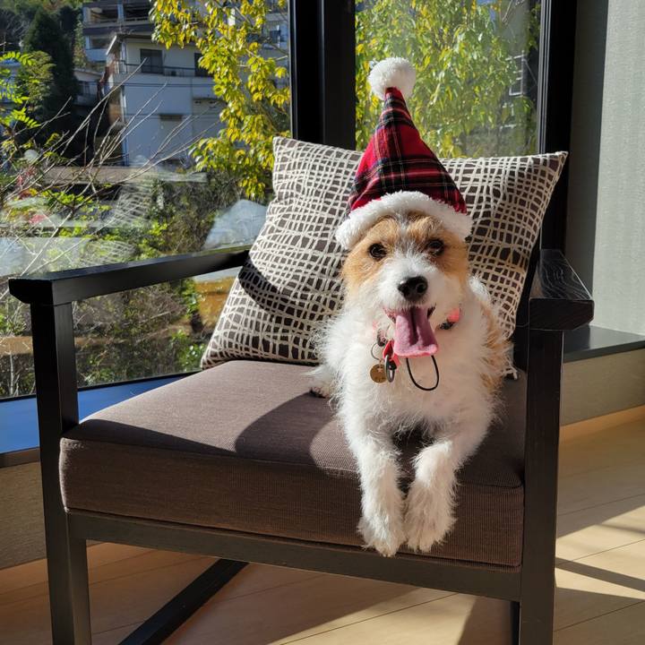 856086fd bc11 4e1a 8a2a 7c3a00d81fe9 1670635535540