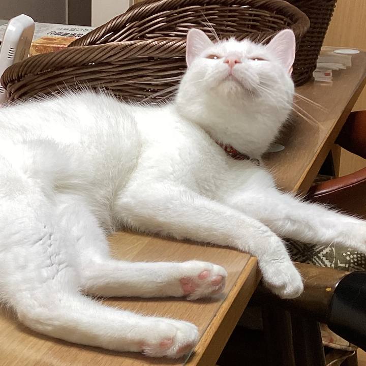 856088a7 ddd5 46ef aede 953bea9b91ef 1688008370015