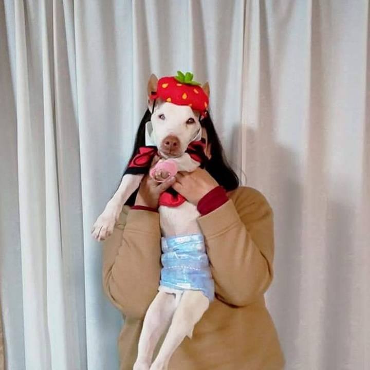 8560bc45 8b50 4592 9f9d 6e2b75969d97 1675638566905