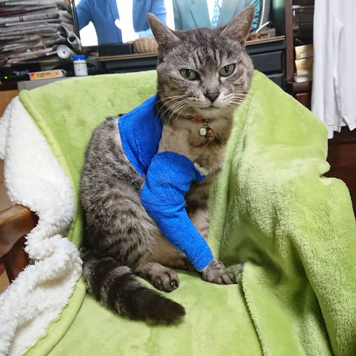 85613abd 46b8 41ff 97a0 fb52c921e0b7 1586778801277