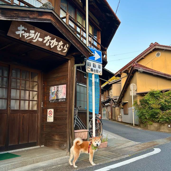 8561770a e0d0 4e2d b05b 892dc6b7c6b6 1746359554036