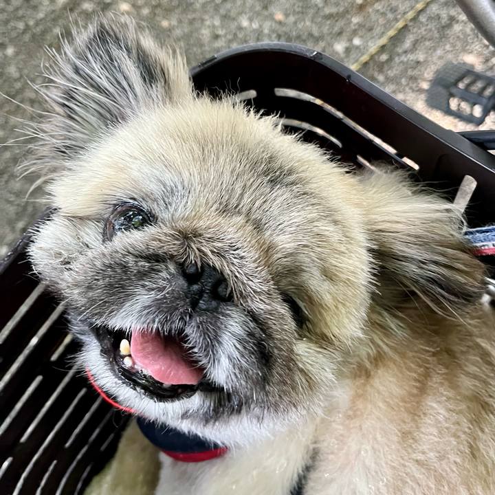 85617748 ad0f 4c38 8783 927475e3d38f 1754346953225