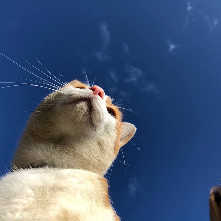 8561b255 33ea 4e56 aa50 3c4b945f8abf 1543108056203