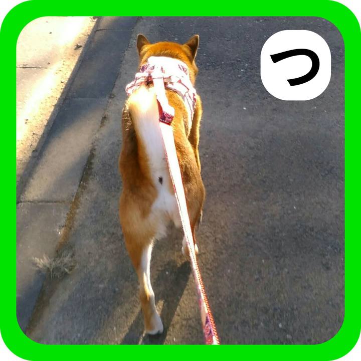 8561bfeb 497b 437d 9fb7 fe0dbda3a886 1515038857859