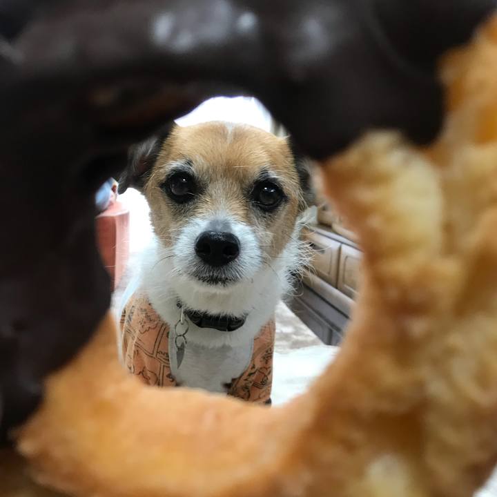 8561f85e a3d3 4491 ab05 a069dcd60d59 1526006597212