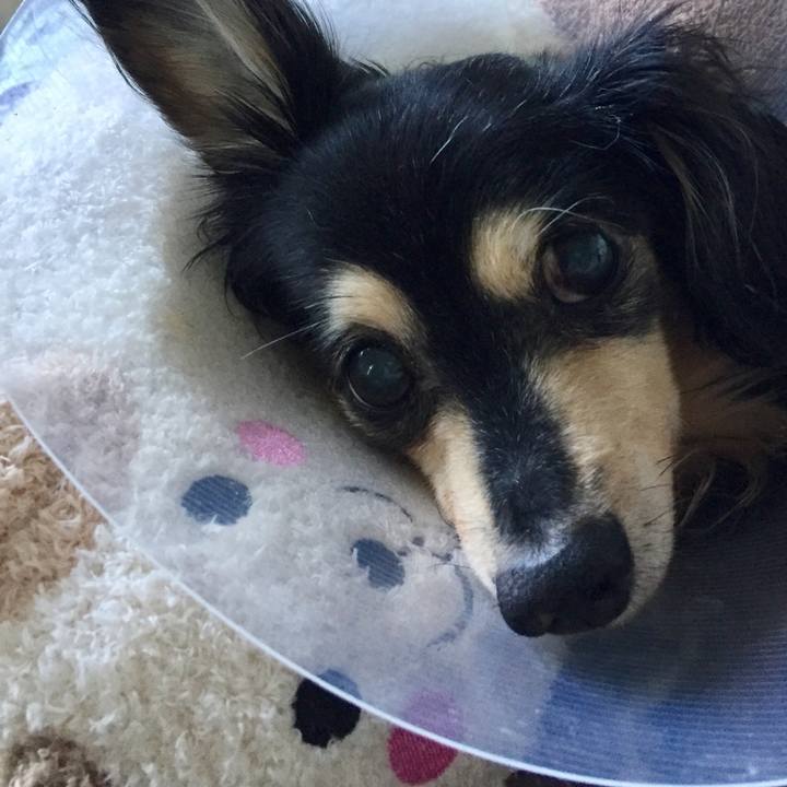 856254f4 acf6 47f0 96db 17caf5a39e0c 1540099569136