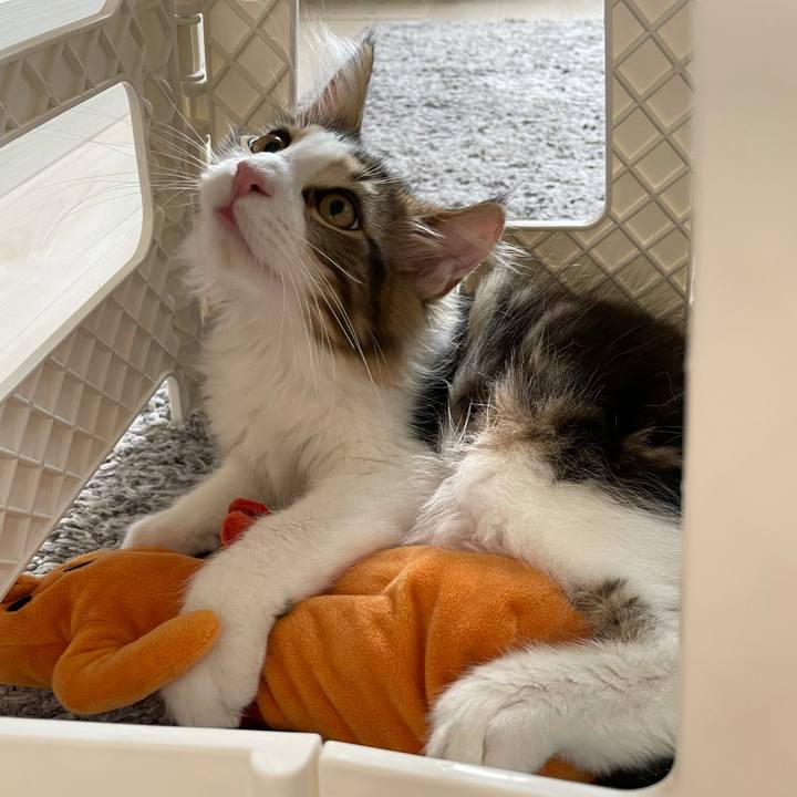 856256bb 226d 4a0f a142 6ad39d7e474d 1633826575150