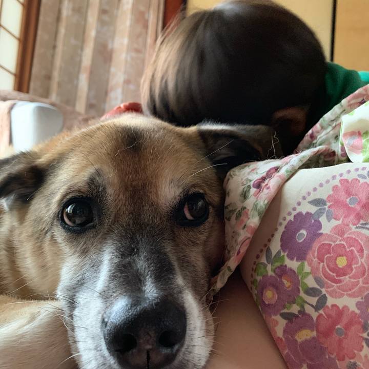 856264e5 05ce 410e 842a bf65a117c85c 1575277351950