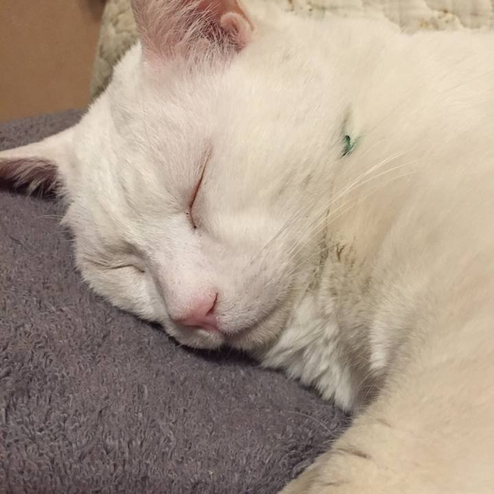 85628011 129f 4a9b 9bc6 60ed1fd7f774 1555511890707