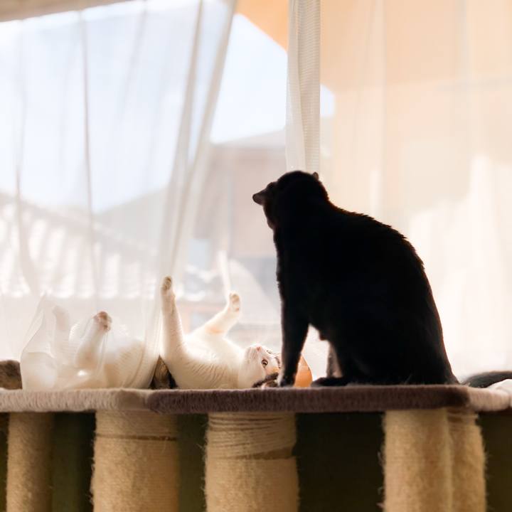 8562b53d 89cc 4f07 9ffc ba4bbfd953c8 1602382196914