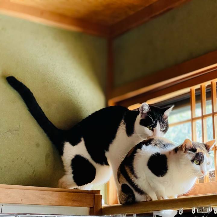 8562b864 a3f2 4293 b4c1 94461f86c624 1618109872107