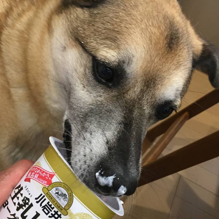 8562b9df 3969 44de ac3f 39e0c0f3df5c 1528517504364