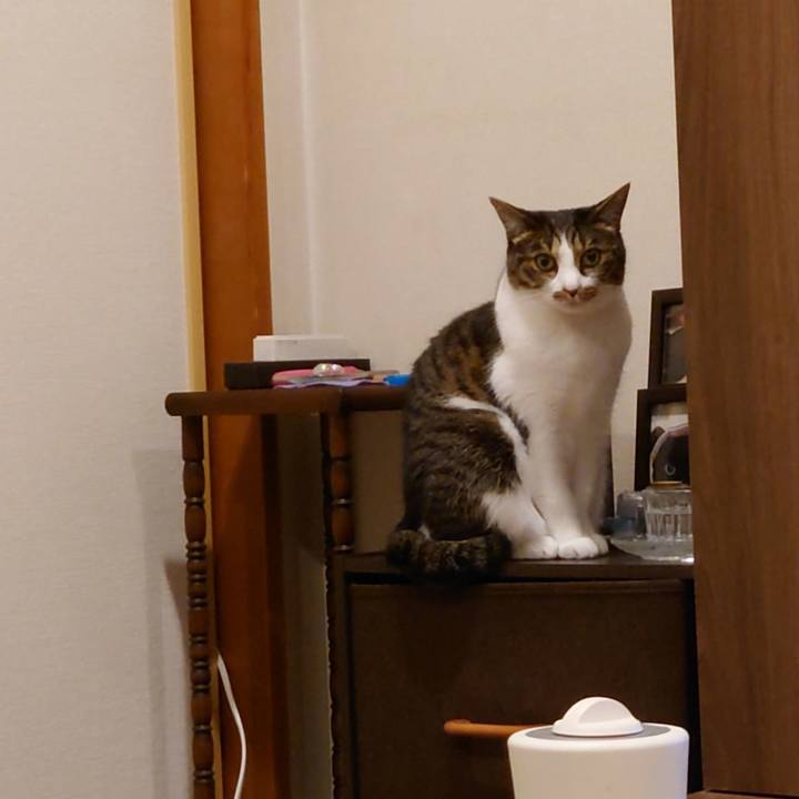 8562ca41 cee4 4dde b7f4 14f91bcde06d 1765079121448