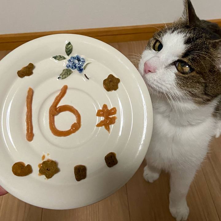 8562f97f dc7c 47b0 b725 91a8d108e7bb 1586000013271